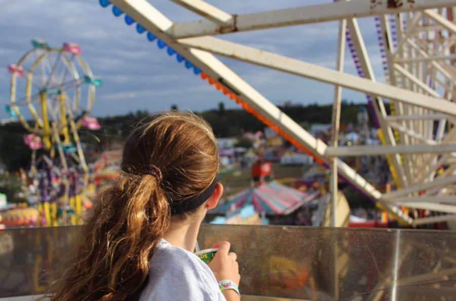 Photo of the Day: Falcon wins last years Manatee County Fair photo contest