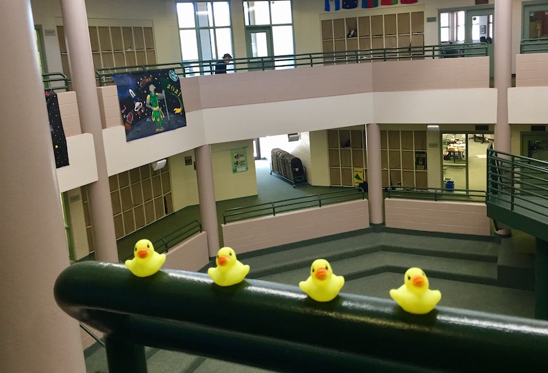 Duck, Duck, Goose? It appears a senior prank is coming...