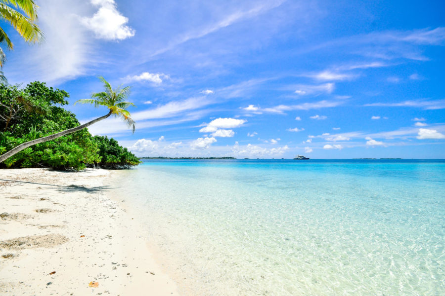 Time for upper school students to get ready for the annual beach day.