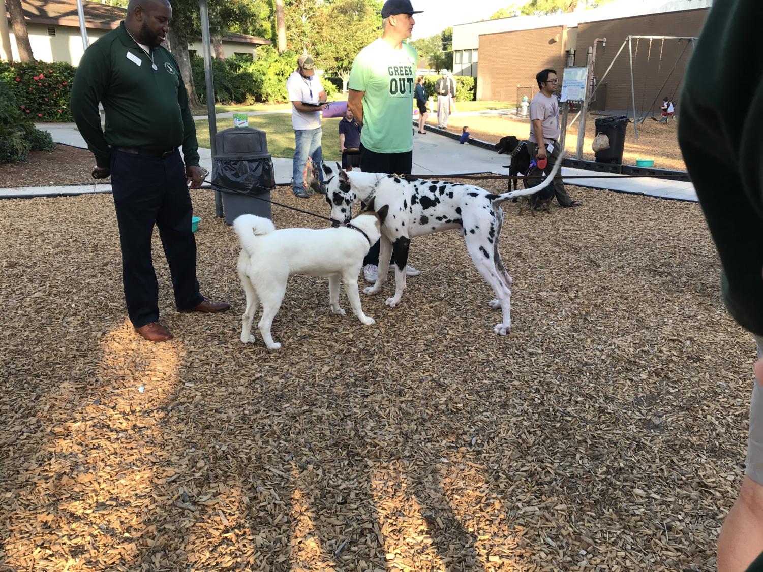 Lower+School+hosts+annual+Blessing+of+the+Animals