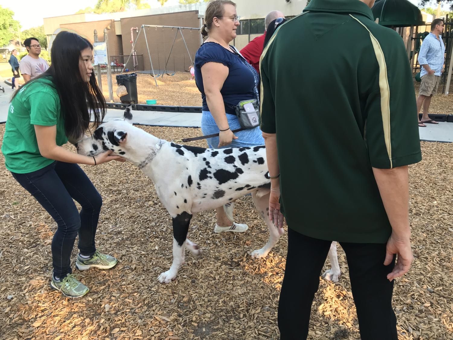 Lower+School+hosts+annual+Blessing+of+the+Animals