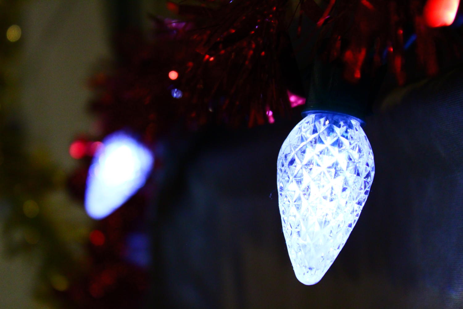 Falcon lens photography series: Christmas lights gallery