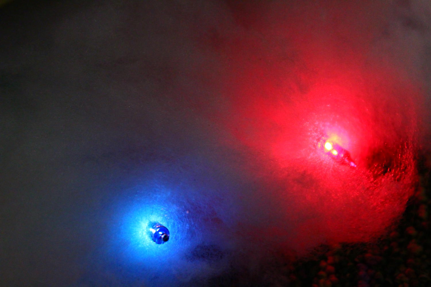 Falcon lens photography series: Christmas lights gallery