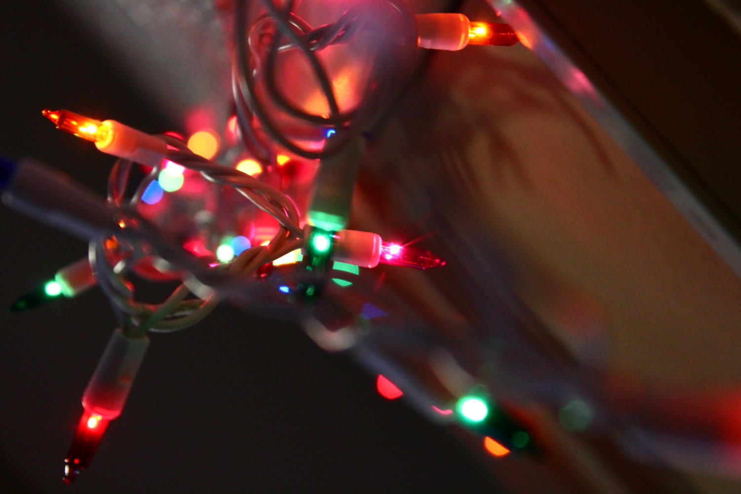 Falcon lens photography series: Christmas lights gallery