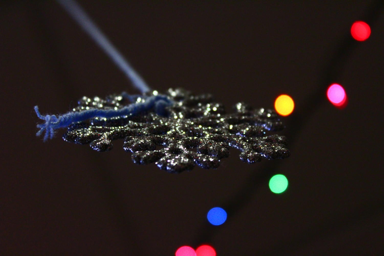 Falcon lens photography series: Christmas lights gallery
