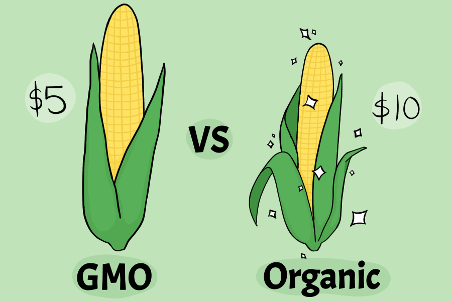 The debate over the health of GMO vs. organic foods is one that consumers continually have. Original art by Evanthia Stirou.