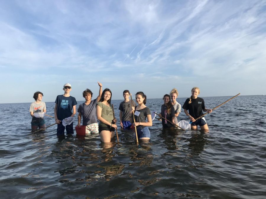 The Argentinian students go dip-netting with the Marine Science class