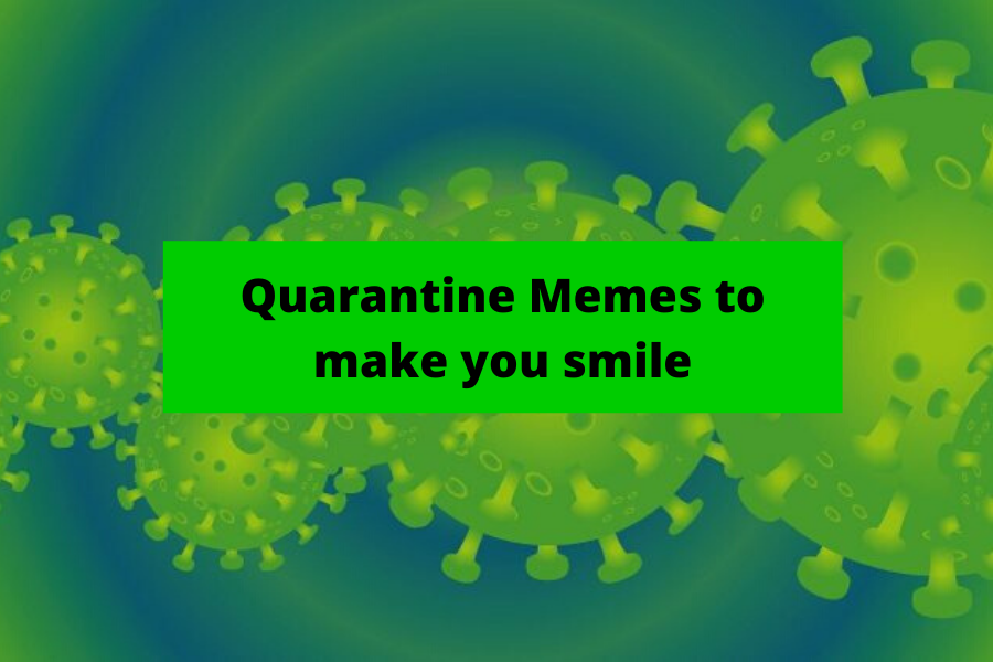 The memes that have dominated the Coronavirus era