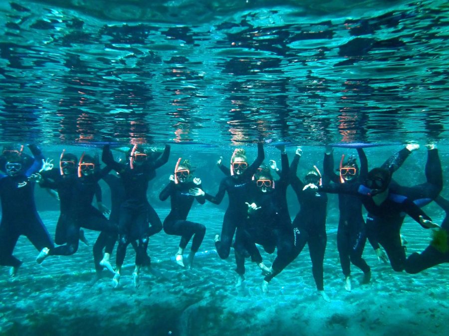 An+underwater+shot+of+the+Marine+students+snorkeling.+