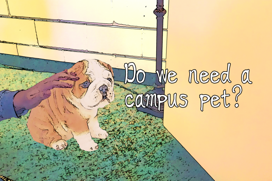 This artwork by Evanthia Stirou depicts a potential campus pet!