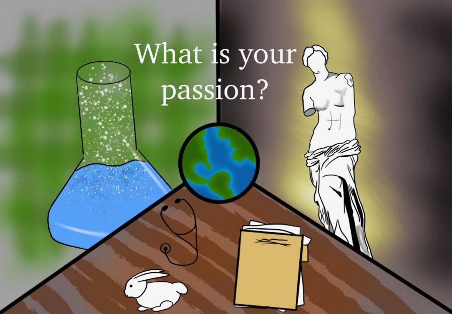 Creating a new class can be a way students can find their passions. 