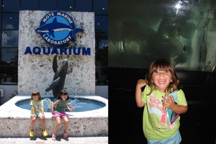 My sister and I visiting Mote Marine Laboratory and Aquarium for the first time in 2008. 