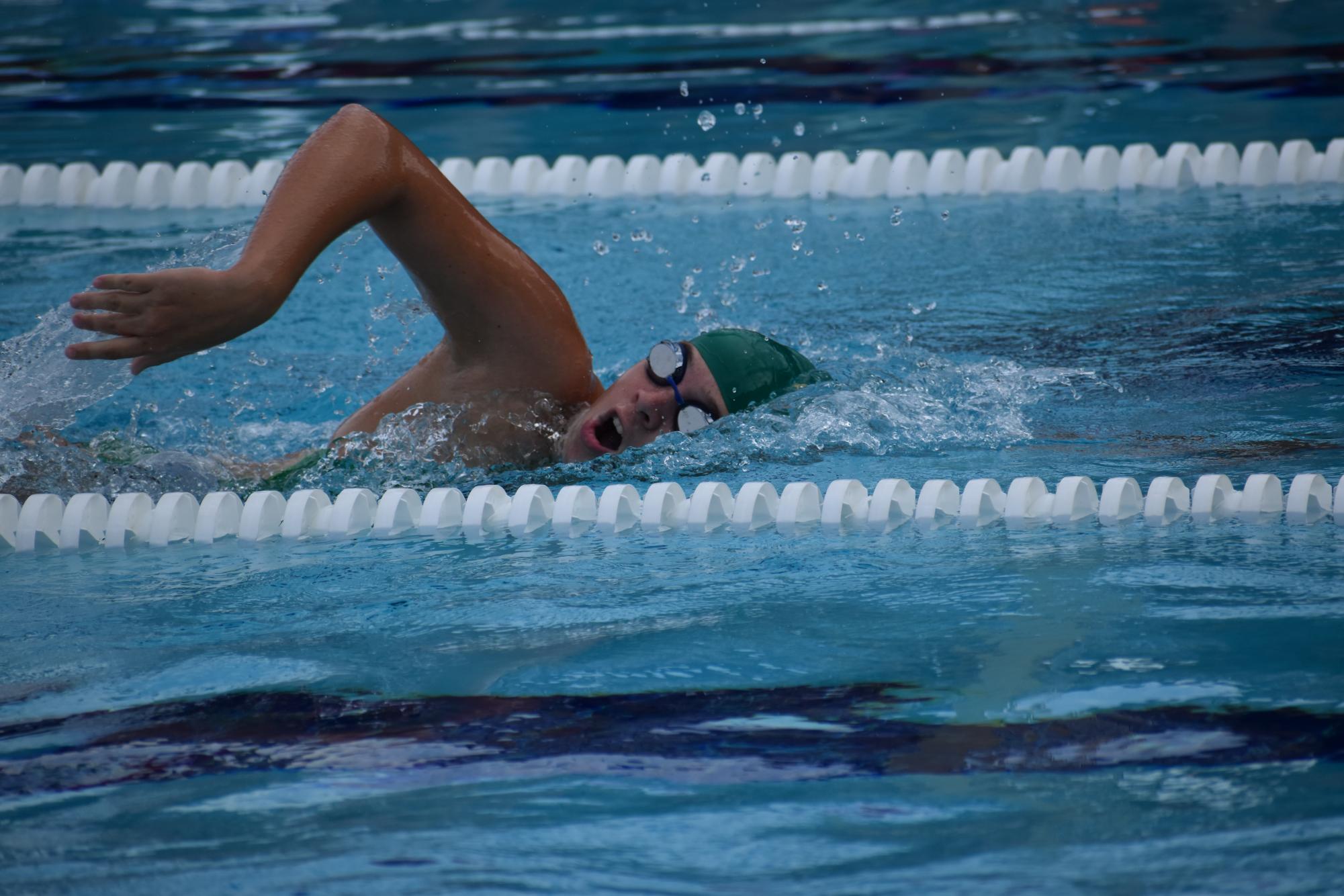 Photo+Gallery%3A+Swim+team+hosts+Senior+Night+at+GT+Bray