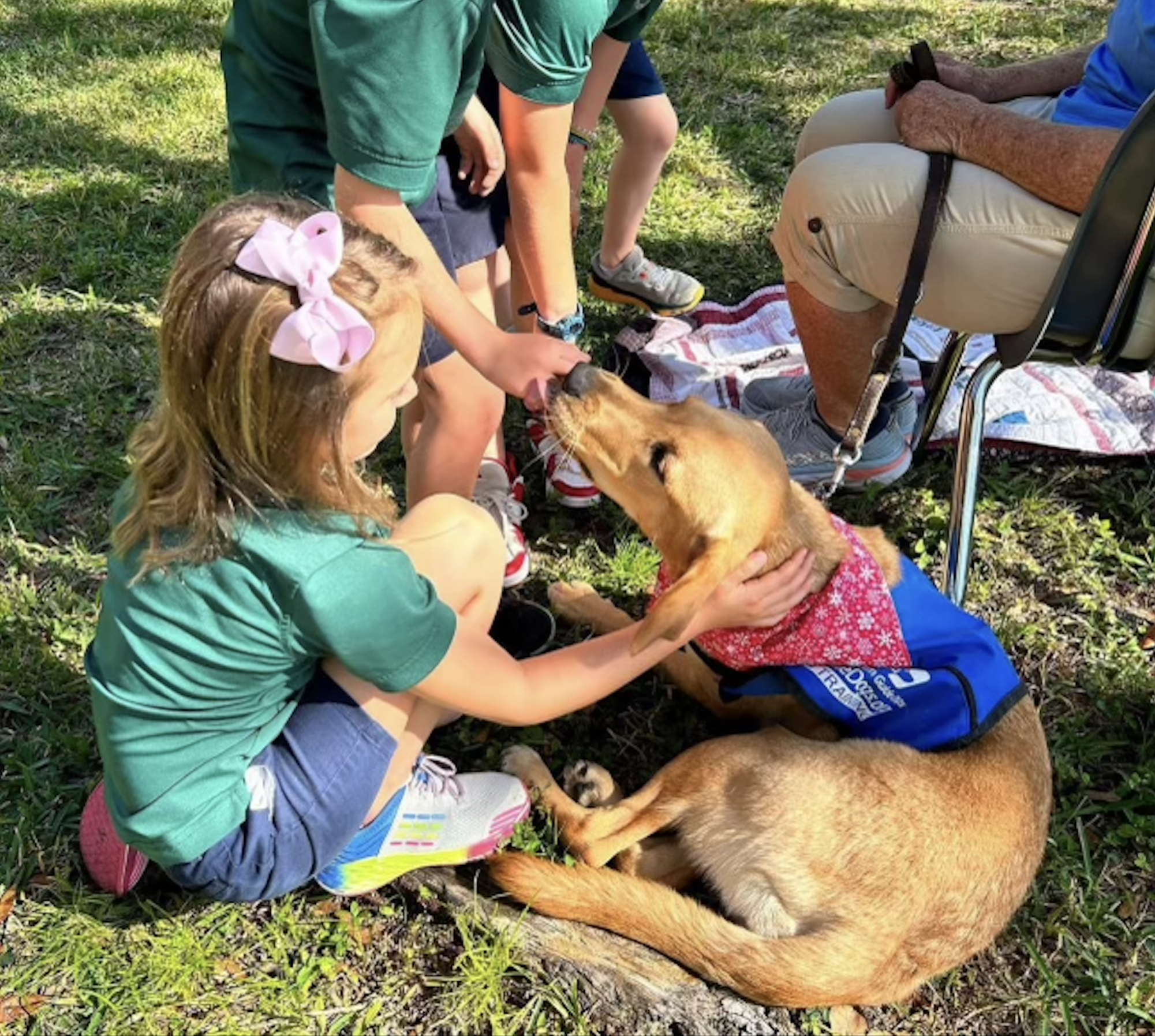 Who doesnt love puppies? Today, during your study hall or break, venture out into the Palm Court years to relax with puppies. 