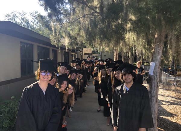 Photo Gallery: Senior Walk 2024