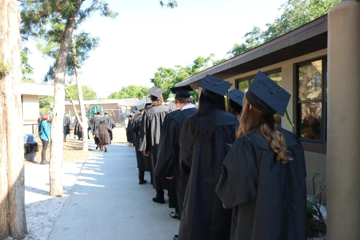 The seniors line up in their caps and gowns at the lower school, ready to begin the Senior Walk. 