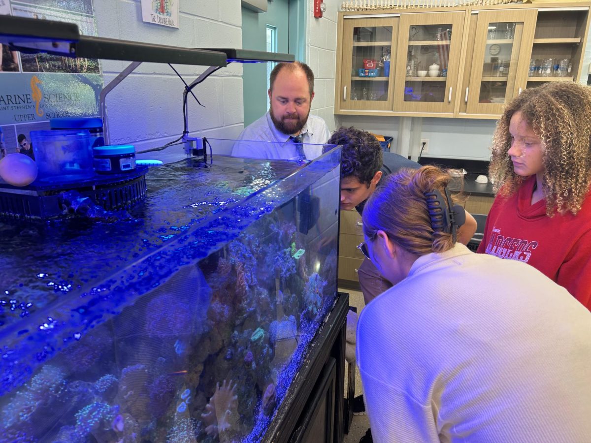 Mr. Angelo leads his Relaxation Day activity-- viewing marine animals in the Marine Science Center