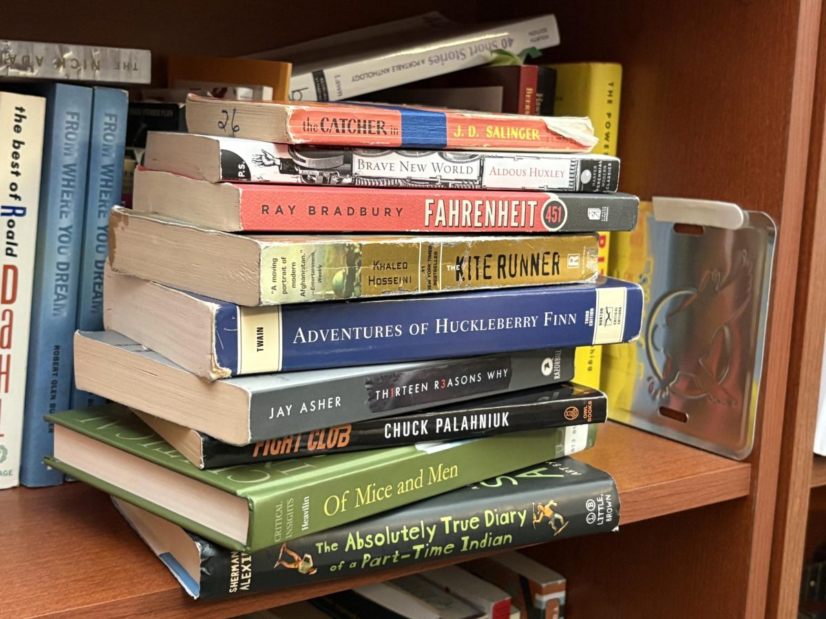 Pictured are several well-known books that have suffered book challenges across the nation.  Many of these foster meaningful discussions in the class settings. 