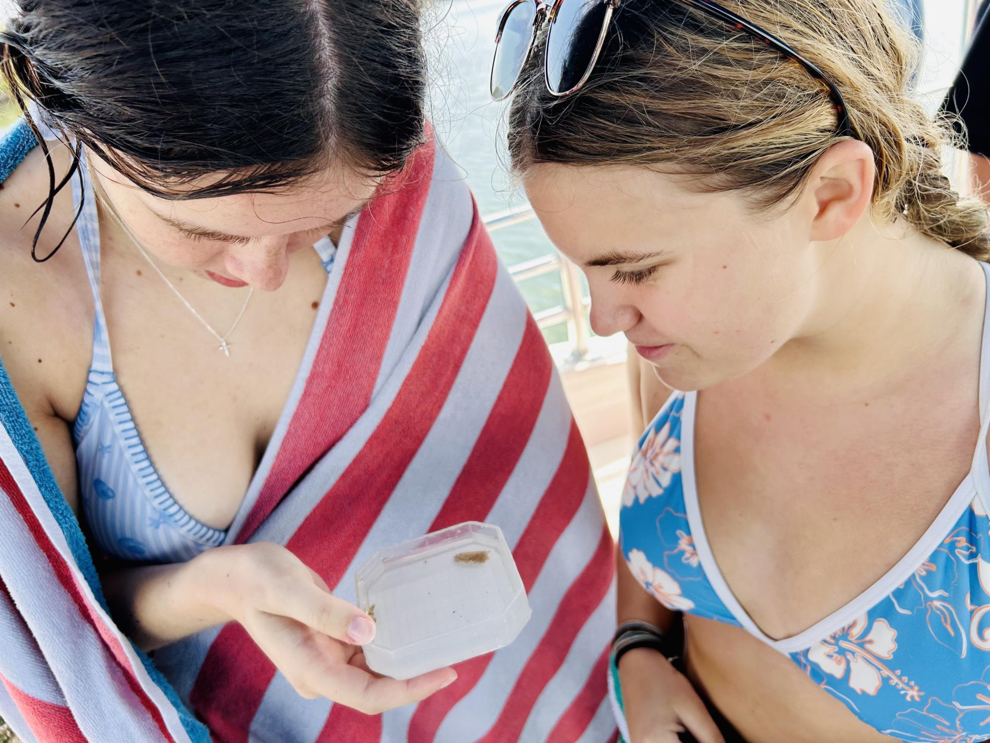 Marine students dive into learning in Florida Keys